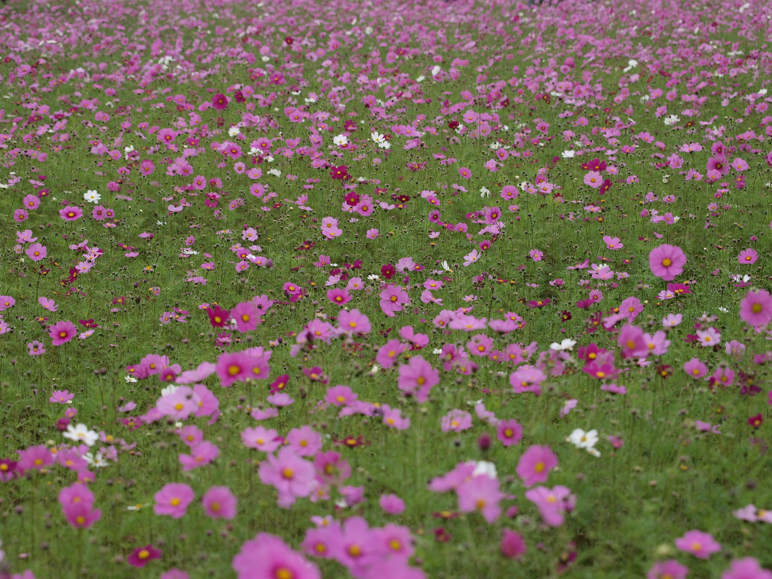 PB032009.JPG